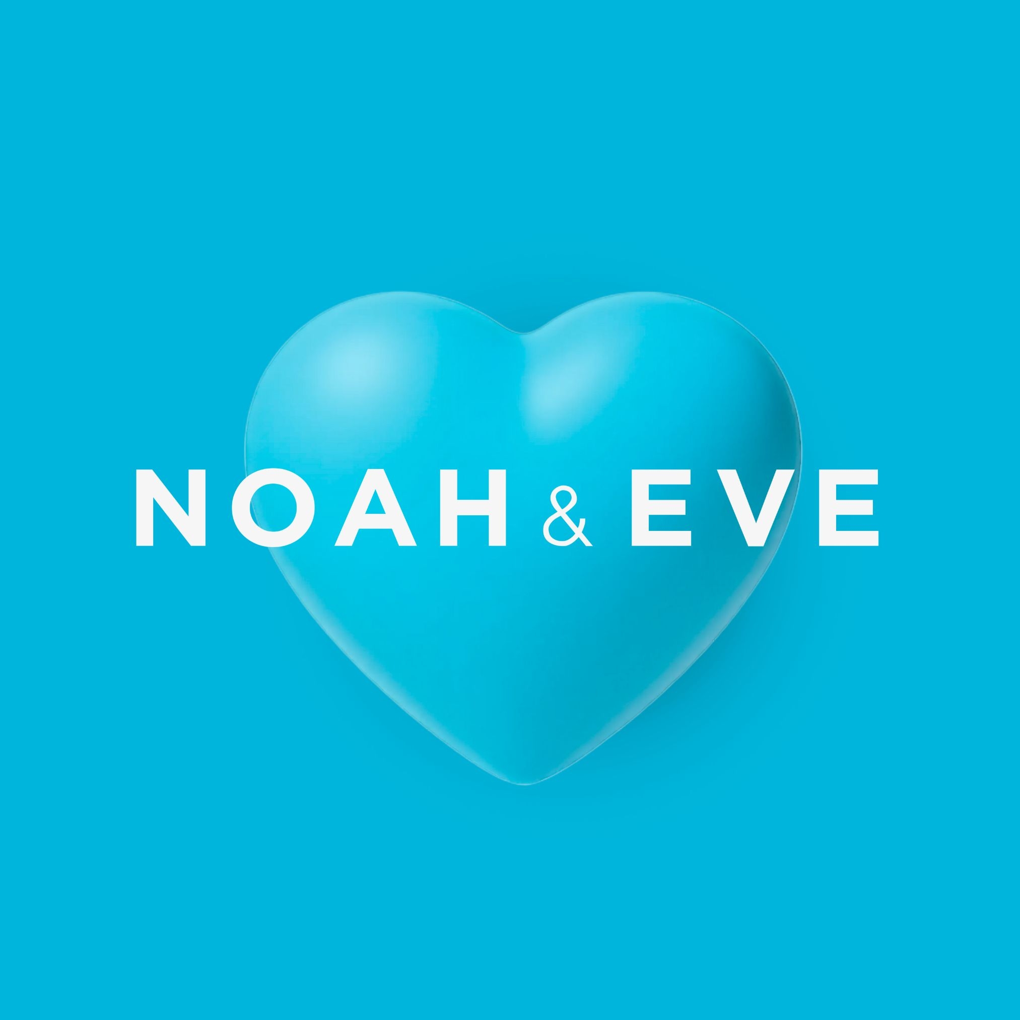 Noah & Eve Center Logo